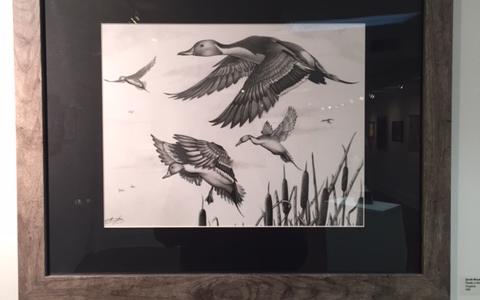 "Pintails in the Marsh" by Jacob Kozak, Calvert Hall College High School
