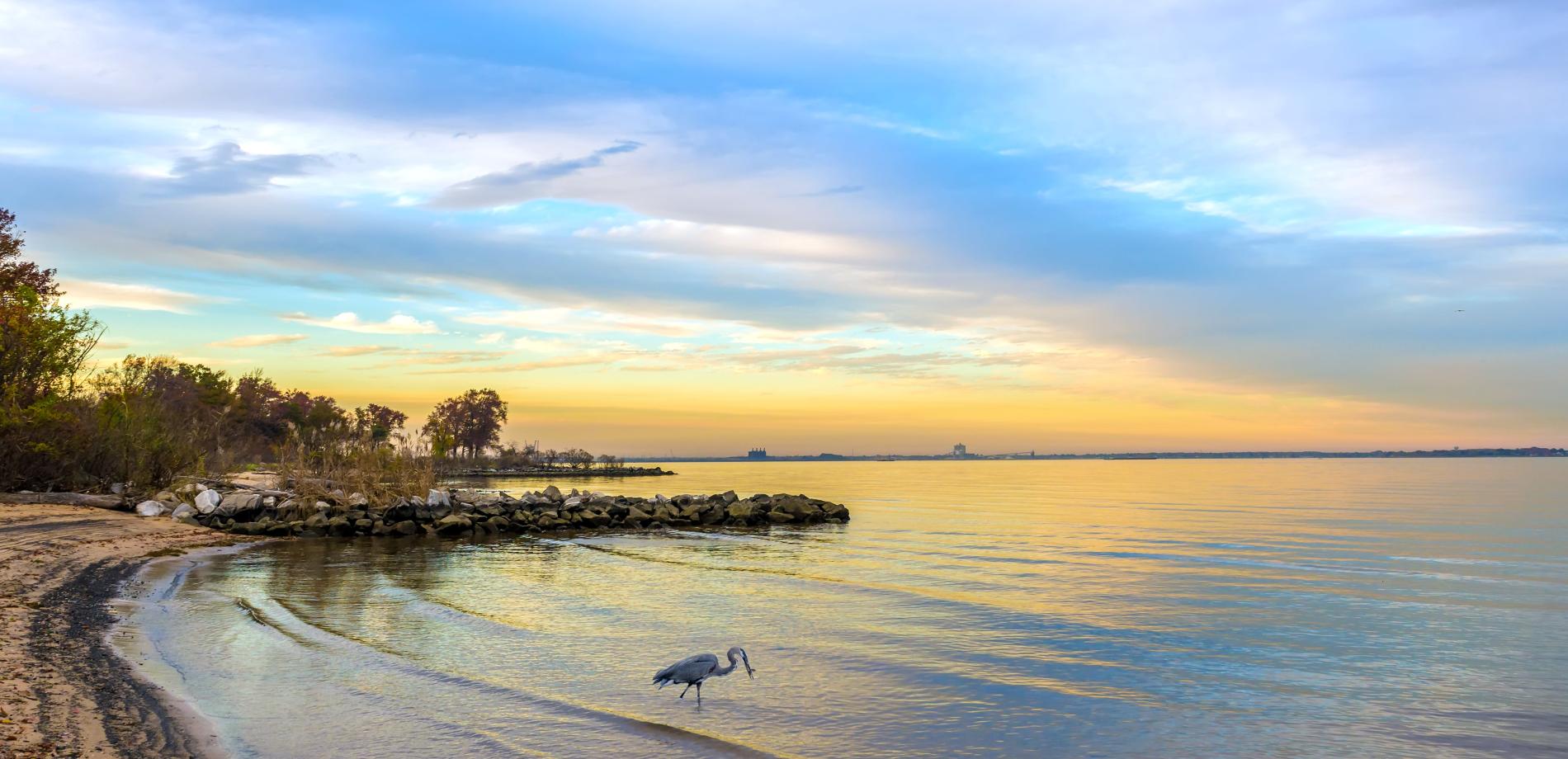 the bay